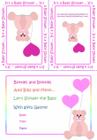 Baby Girl Shower Invitation 1A