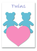 twin baby shower invitations